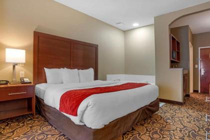 Comfort Suites Mobile East Bay - image 13