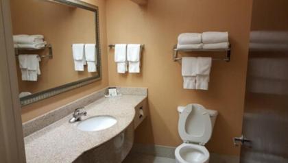 Comfort Suites Mobile East Bay - image 3