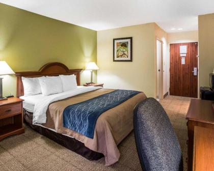 Quality Inn Darien-North Brunswick - image 15