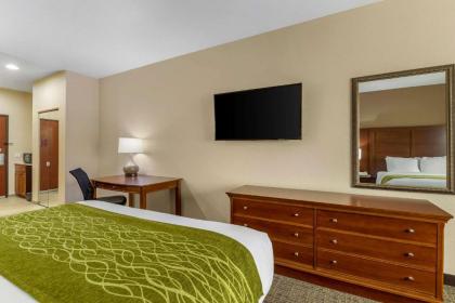 Comfort Inn & Suites Davenport - Quad Cities - image 10