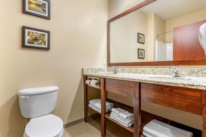 Comfort Inn & Suites Davenport - Quad Cities - image 11