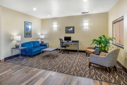 Comfort Inn & Suites Davenport - Quad Cities - image 12