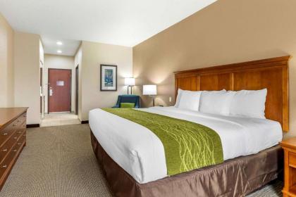 Comfort Inn & Suites Davenport - Quad Cities - image 13