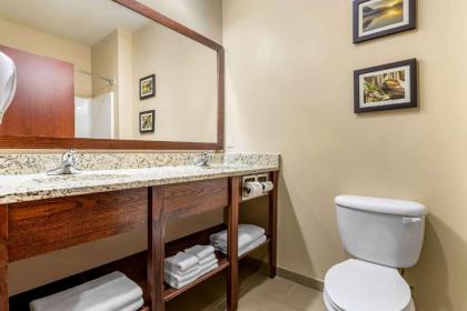 Comfort Inn & Suites Davenport - Quad Cities - image 14