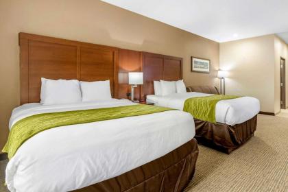 Comfort Inn & Suites Davenport - Quad Cities - image 15