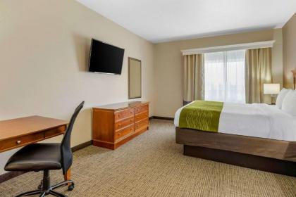 Comfort Inn & Suites Davenport - Quad Cities - image 9