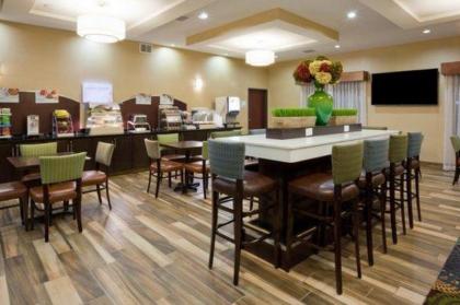 Holiday Inn Express & Suites Davenport North - image 9