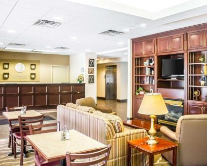 Comfort Inn & Suites - image 4