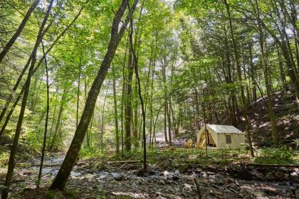 tentrr   Huntley Hollow Brook De Lancey New York