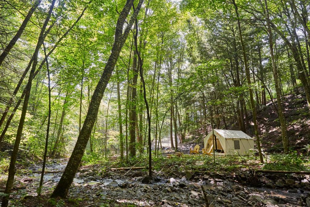 Tentrr - Huntley Hollow Brook - main image