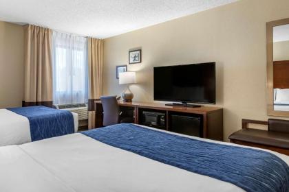 Comfort Inn Near Greenfield Village - image 10