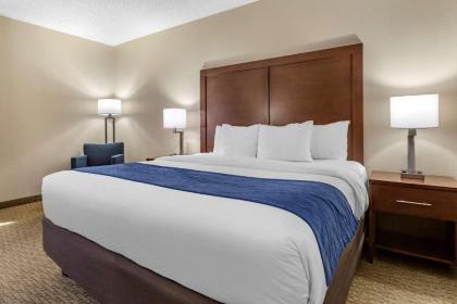 Comfort Inn Near Greenfield Village - image 13