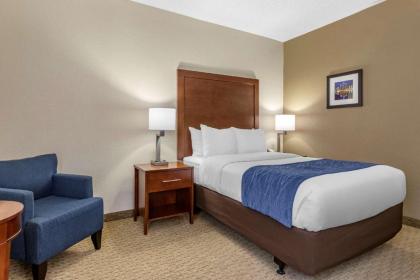 Comfort Inn Near Greenfield Village - image 7