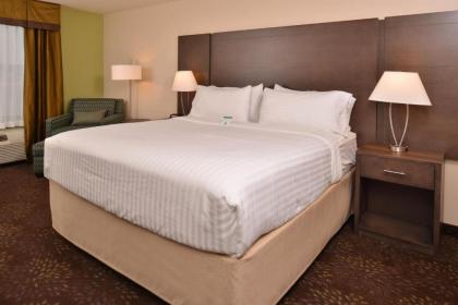 Holiday Inn Express & Suites Dearborn SW - Detroit Area an IHG Hotel - image 12