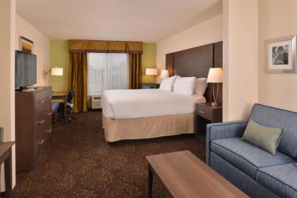 Holiday Inn Express & Suites Dearborn SW - Detroit Area an IHG Hotel - image 8