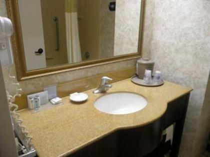 Hampton Inn Decatur - image 16