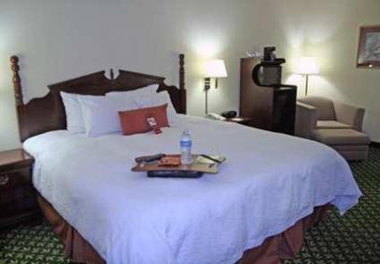 Hampton Inn Decatur - image 5