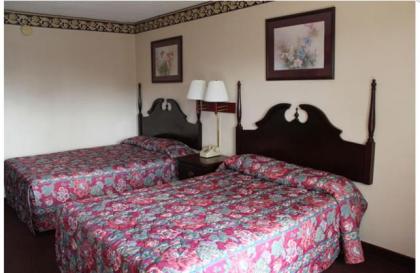 Studio 9 Inn & Suites - image 3