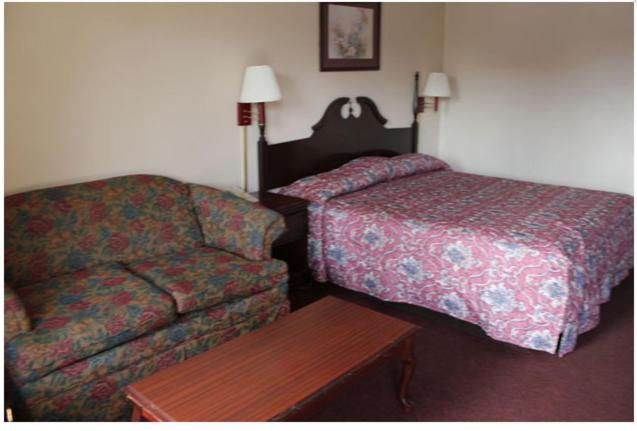 Studio 9 Inn & Suites - image 6