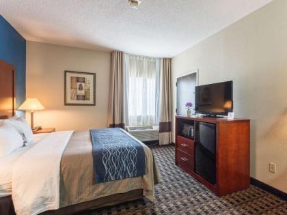 Comfort Inn Decatur Priceville - image 11