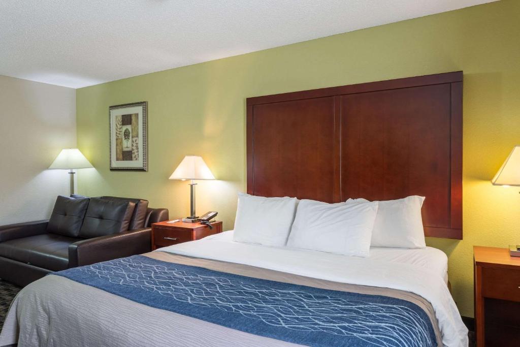 Comfort Inn Decatur Priceville - image 4