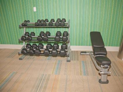 Holiday Inn Express Hotel & Suites Decatur - image 4