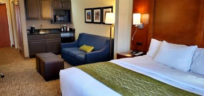 Comfort Inn & Suites Decatur-Forsyth - image 15