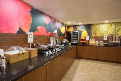 Fairfield Inn Boston Dedham - image 6