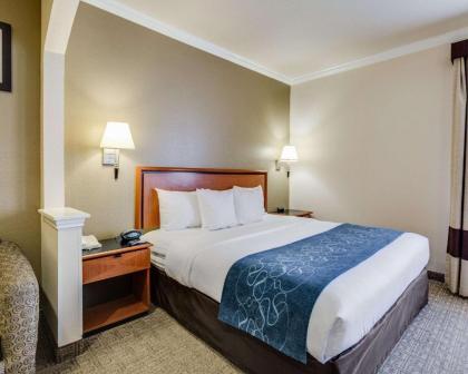 Comfort Suites Deer Park Pasadena - image 14