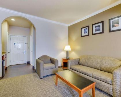 Comfort Suites Deer Park Pasadena - image 2