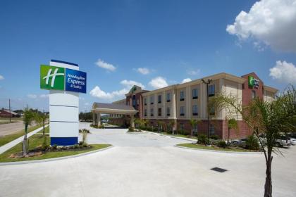 Holiday Inn Express & Suites Deer Park an IHG Hotel - image 12