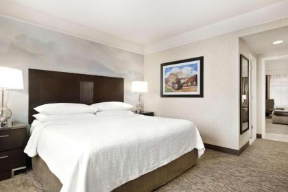 Embassy Suites by Hilton Chicago North Shore Deerfield - image 8