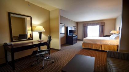 Holiday Inn Express Del Rio an IHG Hotel - image 3