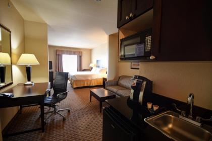 Holiday Inn Express Del Rio an IHG Hotel - image 6