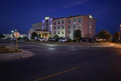 Holiday Inn Express Del Rio an IHG Hotel - image 7