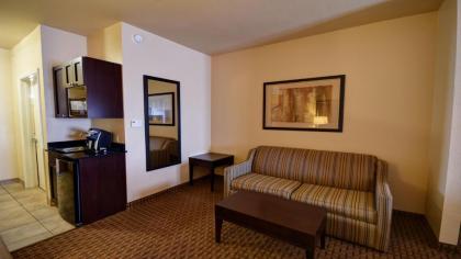 Holiday Inn Express Del Rio an IHG Hotel - image 9