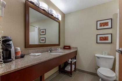 Comfort Suites Delavan - Lake Geneva Area - image 11