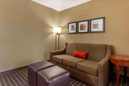 Comfort Suites Delavan - Lake Geneva Area - image 12