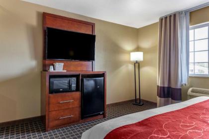 Comfort Suites Delavan - Lake Geneva Area - image 15