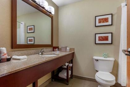 Comfort Suites Delavan - Lake Geneva Area - image 9