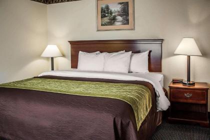 Quality Inn & Suites Delaware - image 9