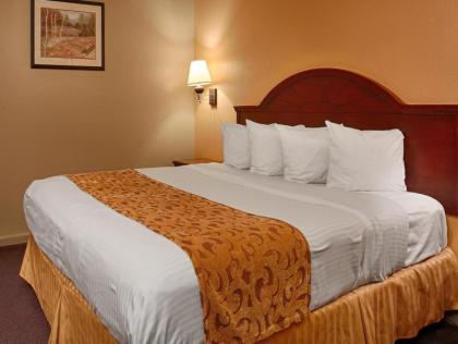 Best Western Delhi Inn - image 15