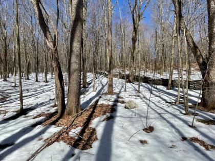 Tentrr Signature Site - Bramley Mountain Trail Camp - image 8