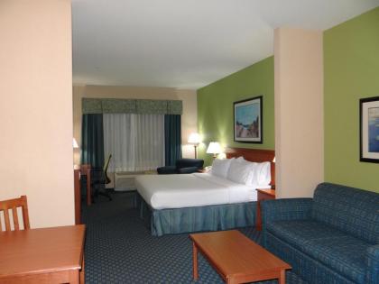 Holiday Inn Express Hotel & Suites Salisbury - Delmar an IHG Hotel - image 4