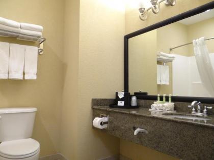 Holiday Inn Express Hotel & Suites Salisbury - Delmar an IHG Hotel - image 5