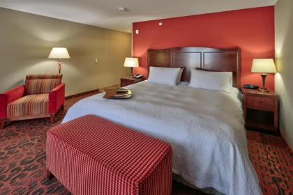 Hampton Inn Deming - image 11