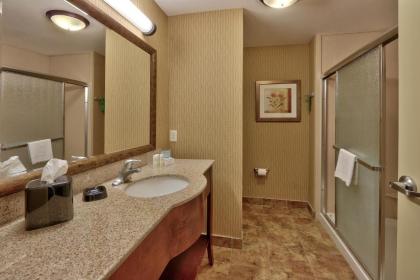 Hampton Inn Deming - image 13