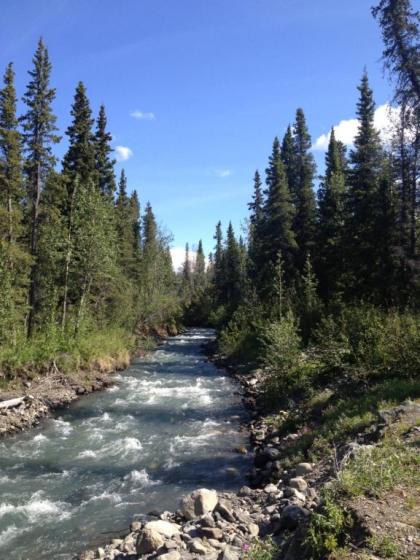 Carlo Creek Cabins - image 12