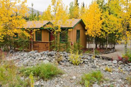 McKinley Creekside Cabins - image 4