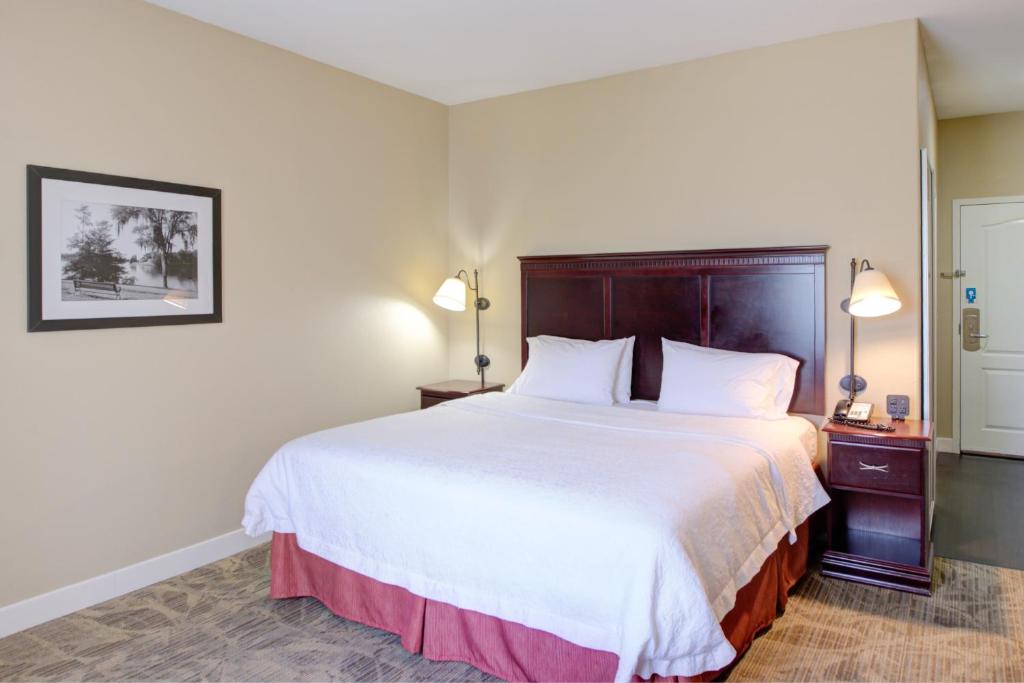 Hampton Inn Baton Rouge - Denham Springs - image 5